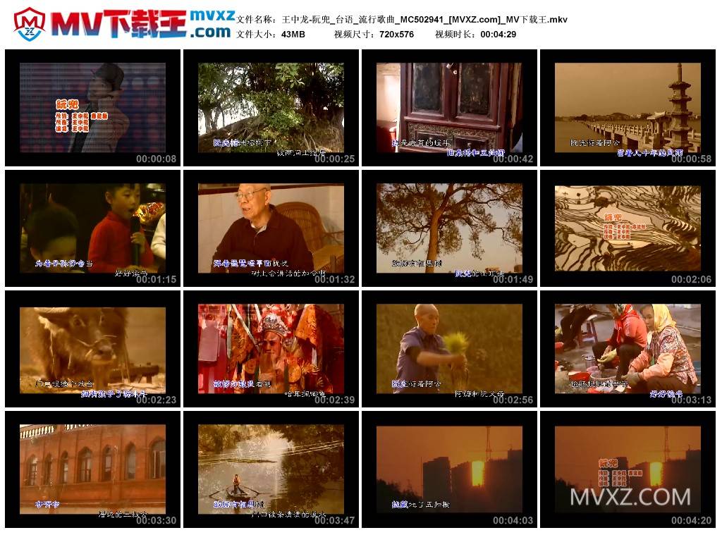 王中龙-阮兜_台语_流行歌曲_MC502941